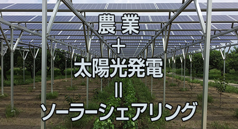 農業＋太陽光発電